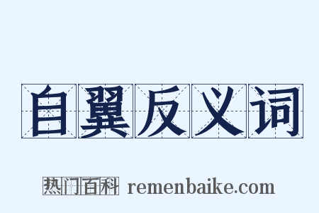 自翼反义词是什么意思的图片